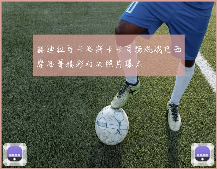 赫迪拉与卡洛斯卡卡同场观战巴西摩洛哥精彩对决照片曝光