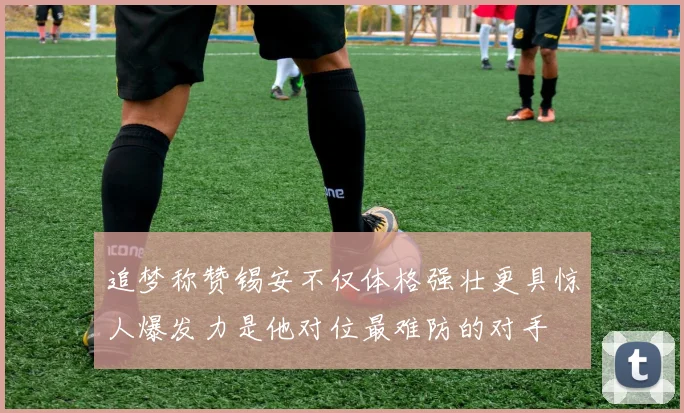 追梦称赞锡安不仅体格强壮更具惊人爆发力是他对位最难防的对手
